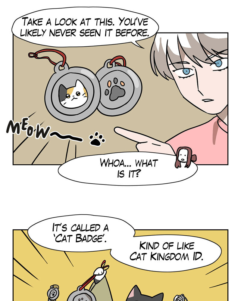 Read Meow Man chapter 105 image 27 on Lezhin