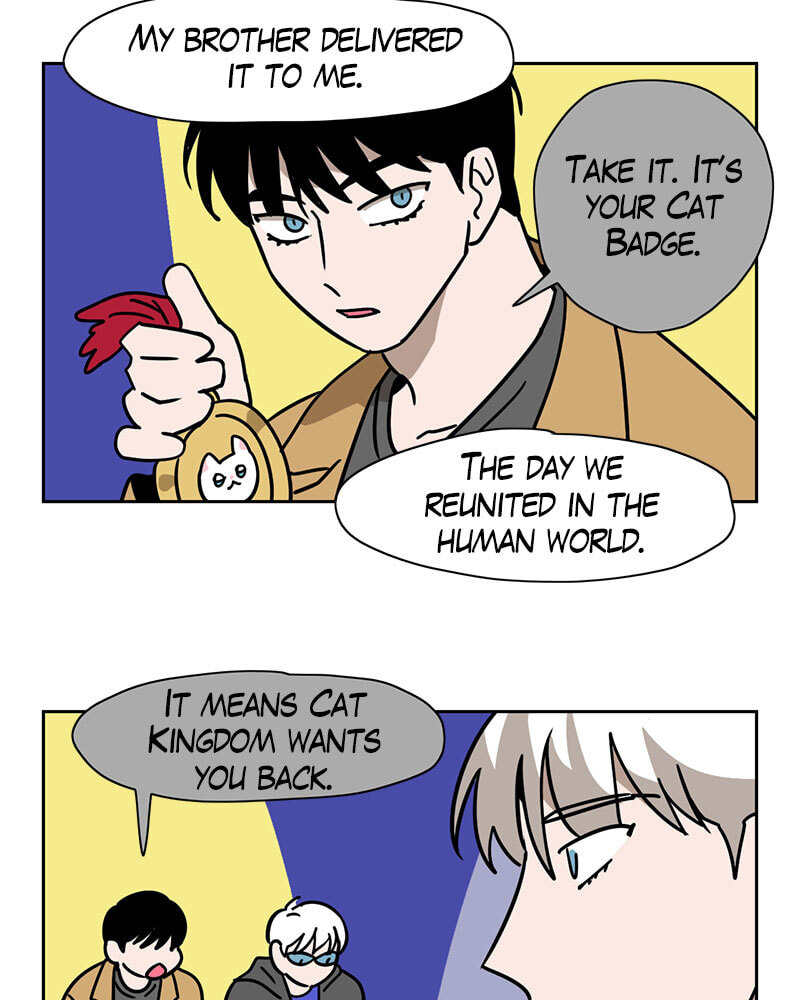 Read Meow Man chapter 106 image 6 on Lezhin