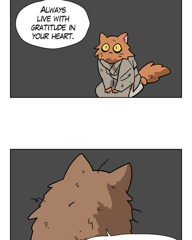 Read Meow Man chapter 109 image 2 on Lezhin