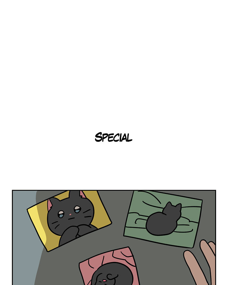 Read Meow Man chapter 110 image 23 on Lezhin