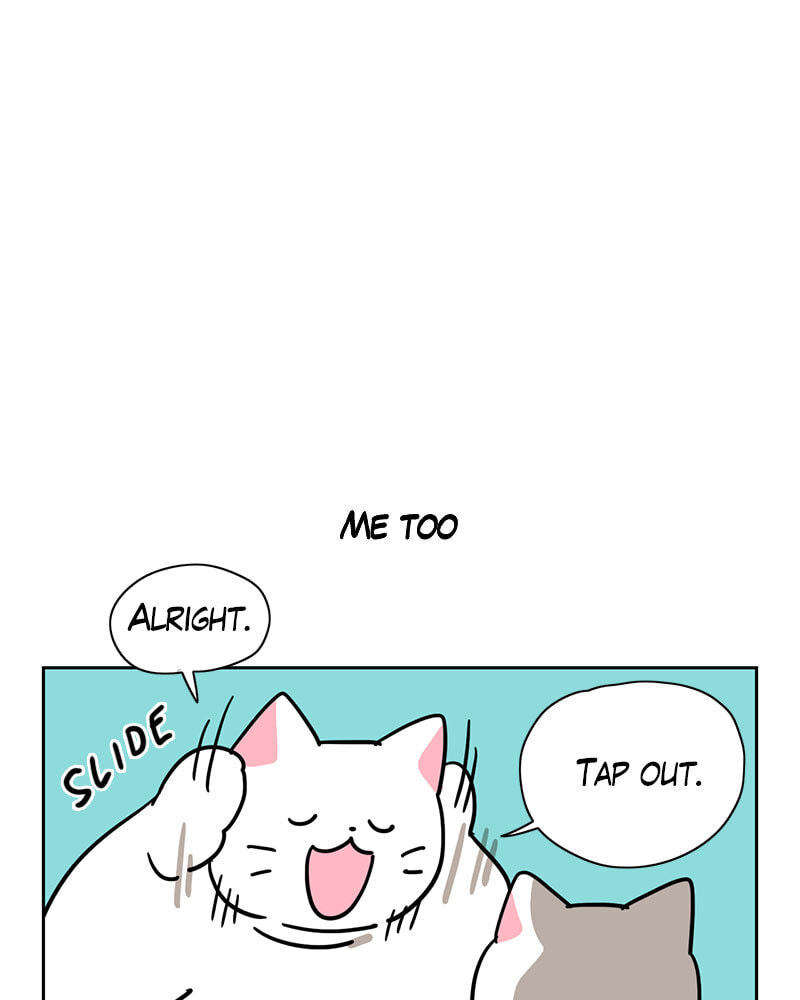 Read Meow Man chapter 116 image 13 on Lezhin