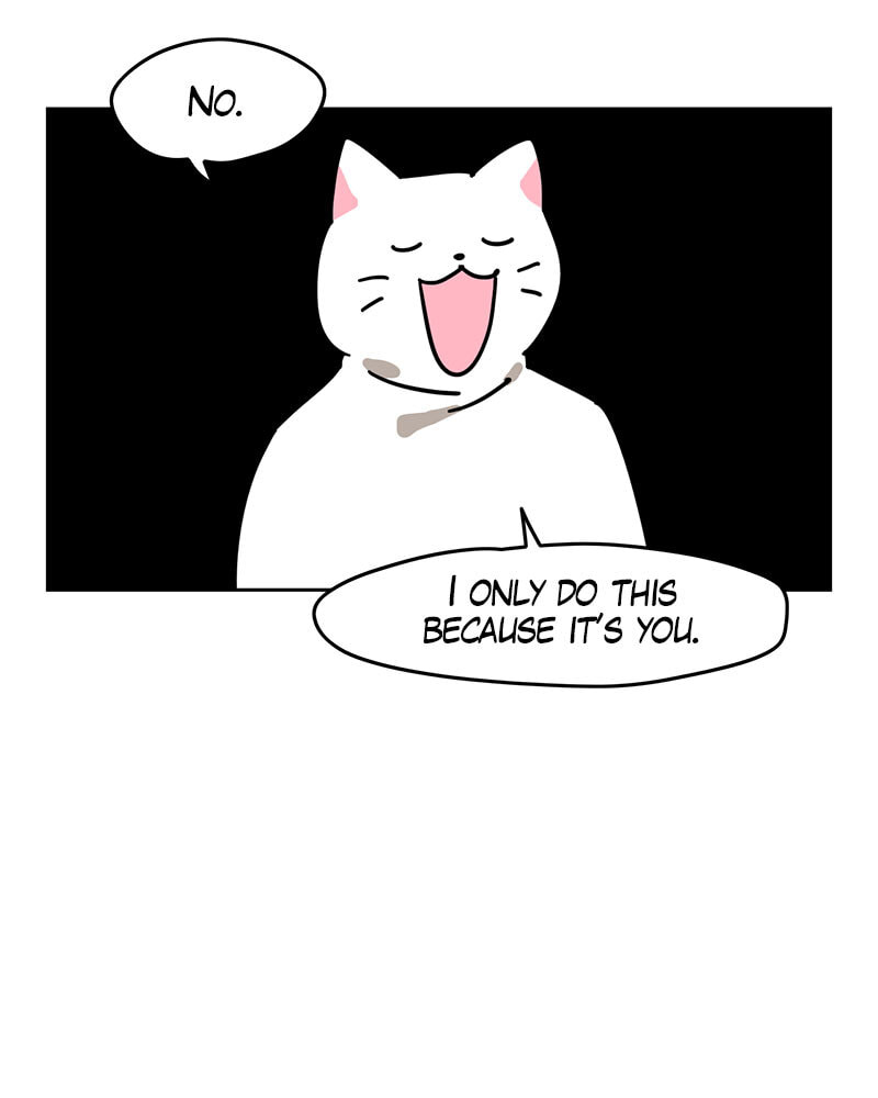 Read Meow Man chapter 116 image 19 on Lezhin