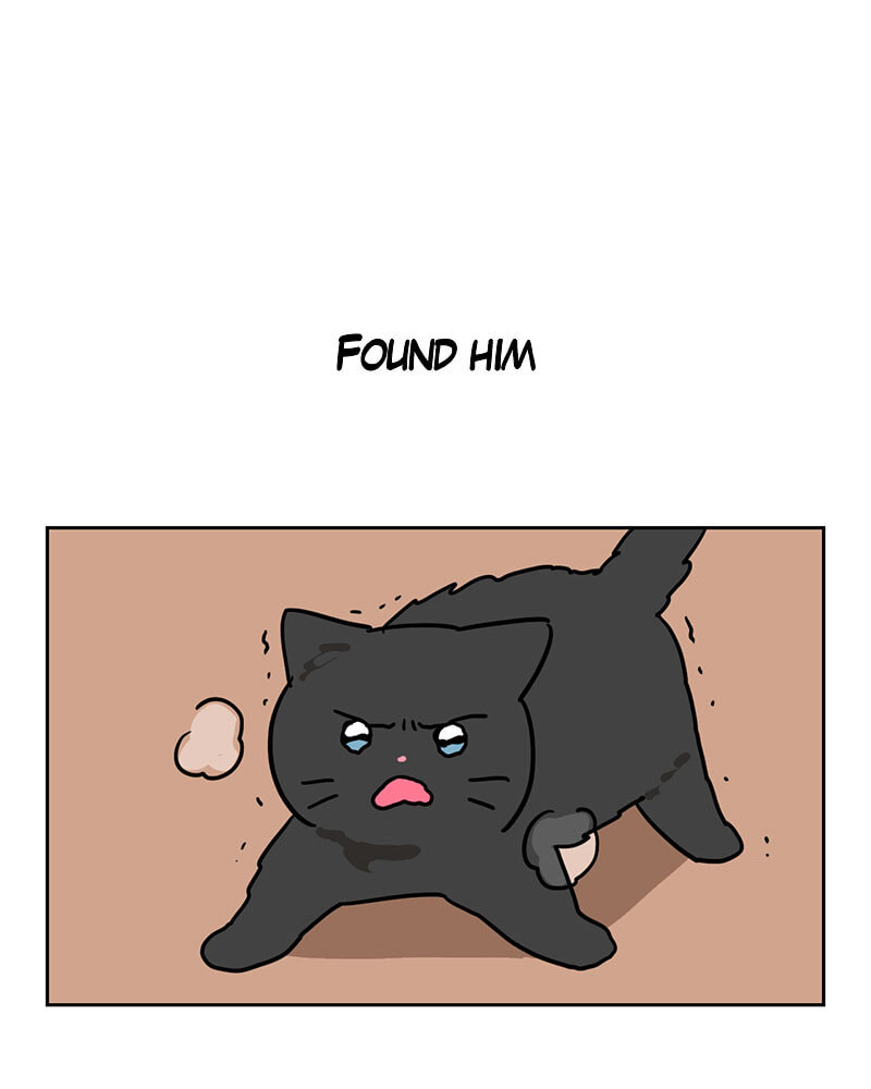 Read Meow Man chapter 121 image 42 on Lezhin