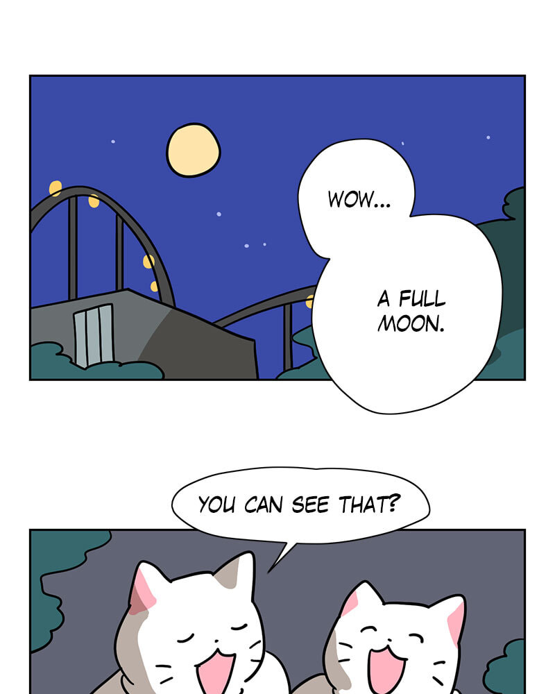 Read Meow Man chapter 124 image 28 on Lezhin