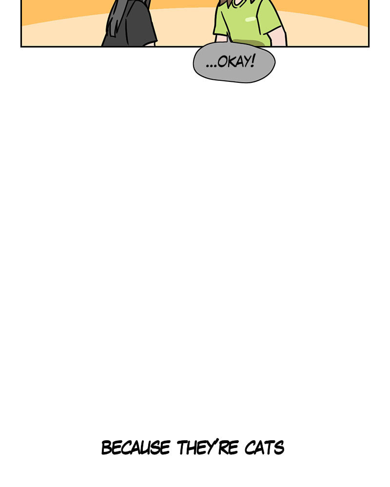 Read Meow Man chapter 126 image 33 on Lezhin
