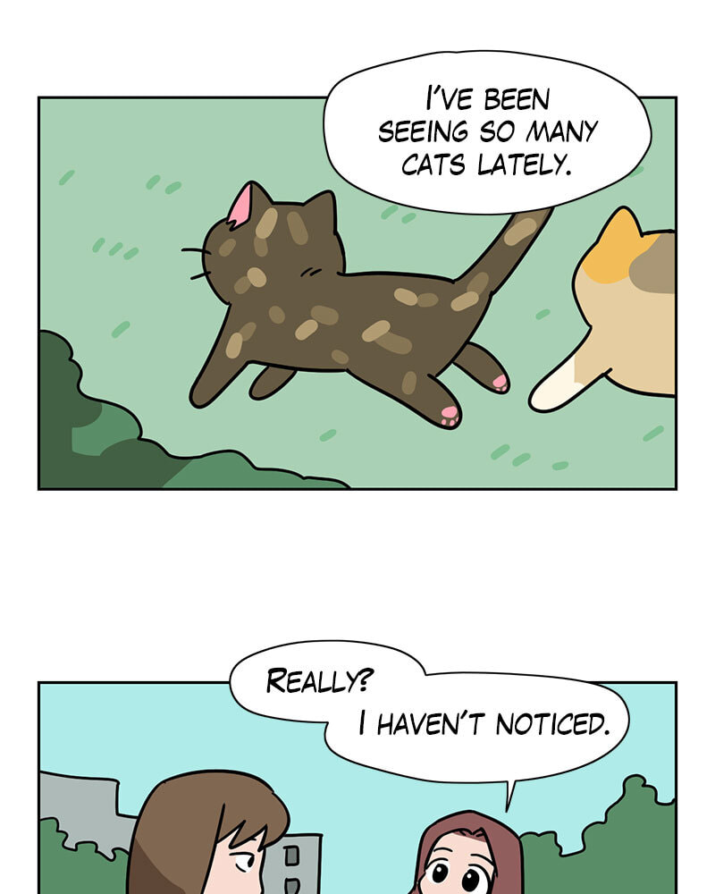 Read Meow Man chapter 134 image 17 on Lezhin