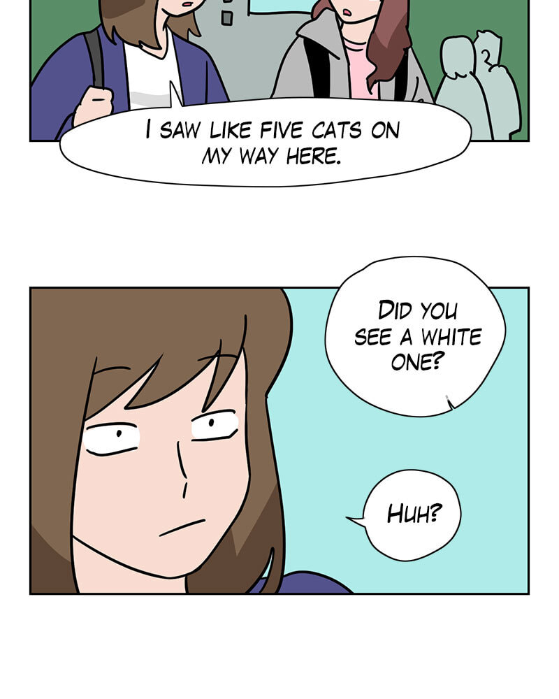 Read Meow Man chapter 134 image 18 on Lezhin