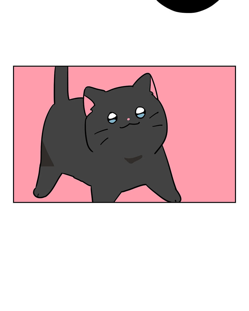 Read Meow Man chapter 136 image 41 on Lezhin