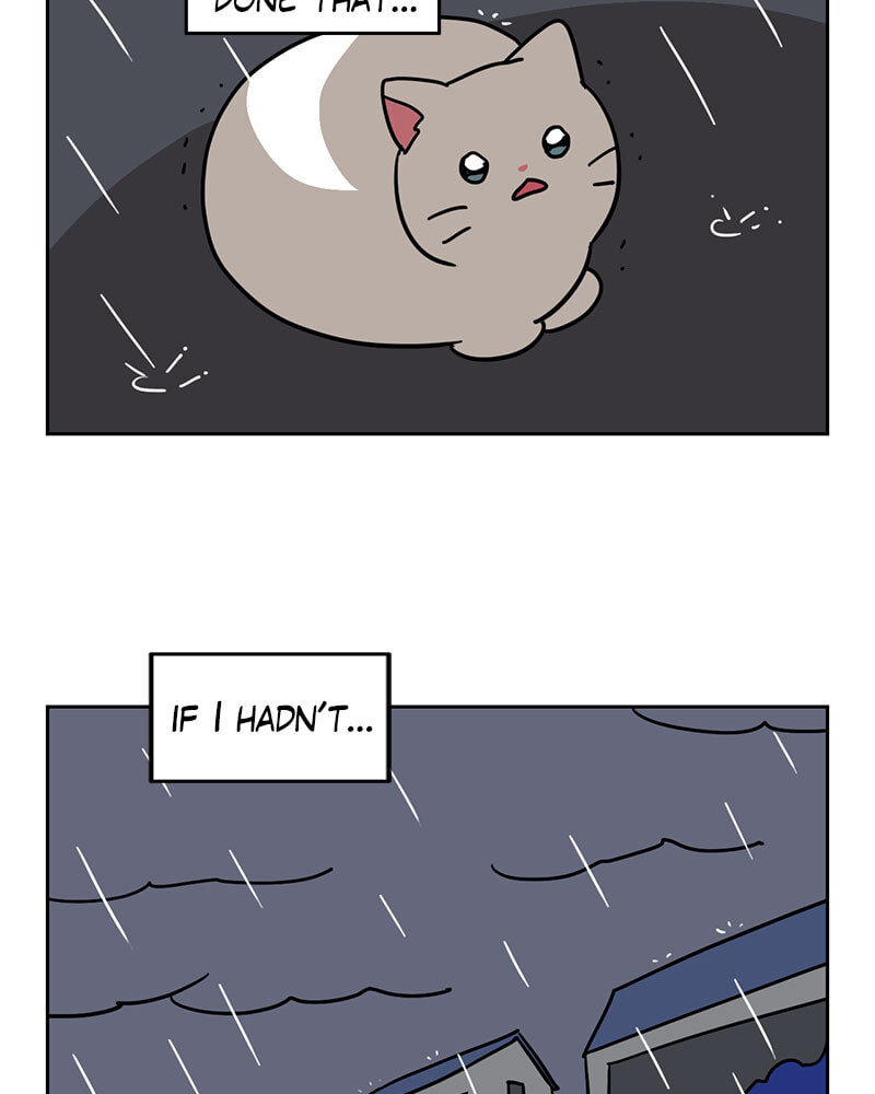 Read Meow Man chapter 137 image 33 on Lezhin