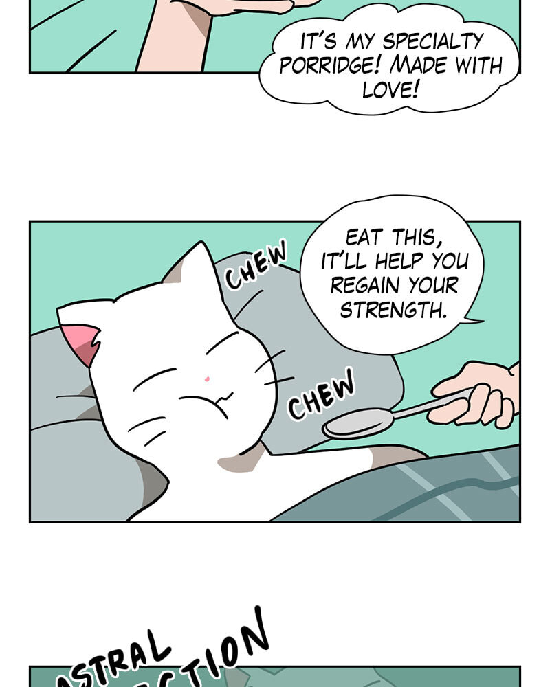Read Meow Man chapter 138 image 25 on Lezhin