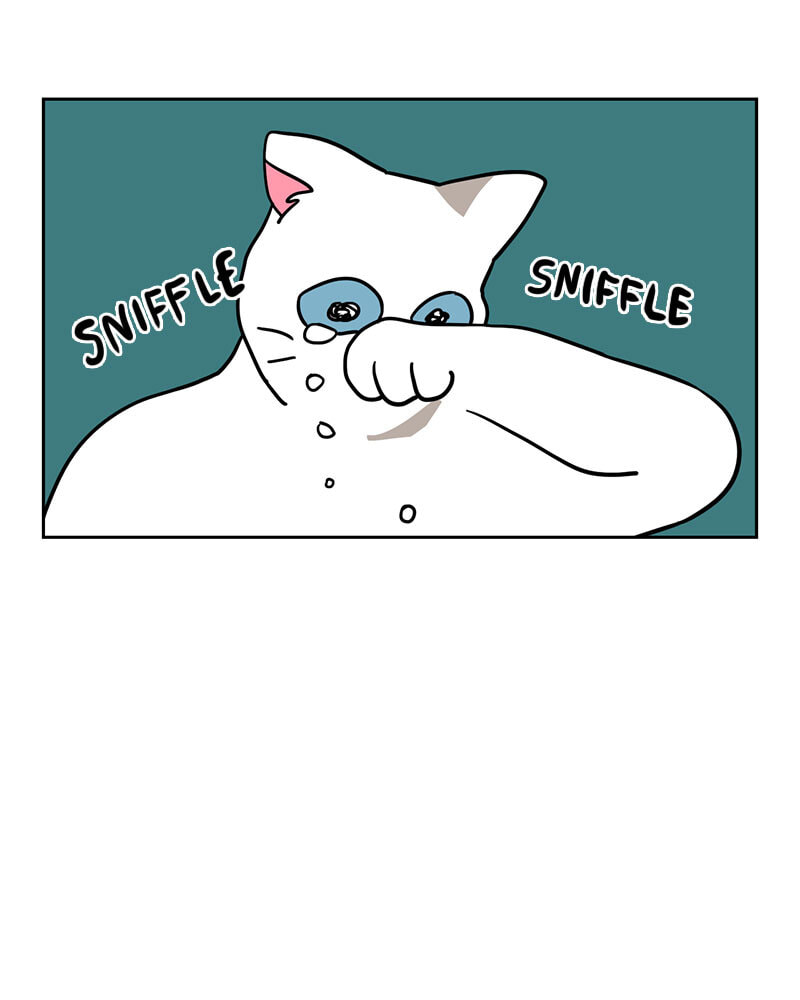 Read Meow Man chapter 138 image 41 on Lezhin
