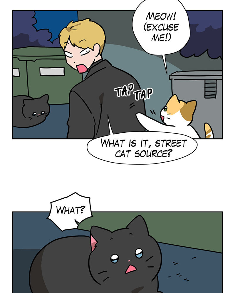 Read Meow Man chapter 138 image 7 on Lezhin