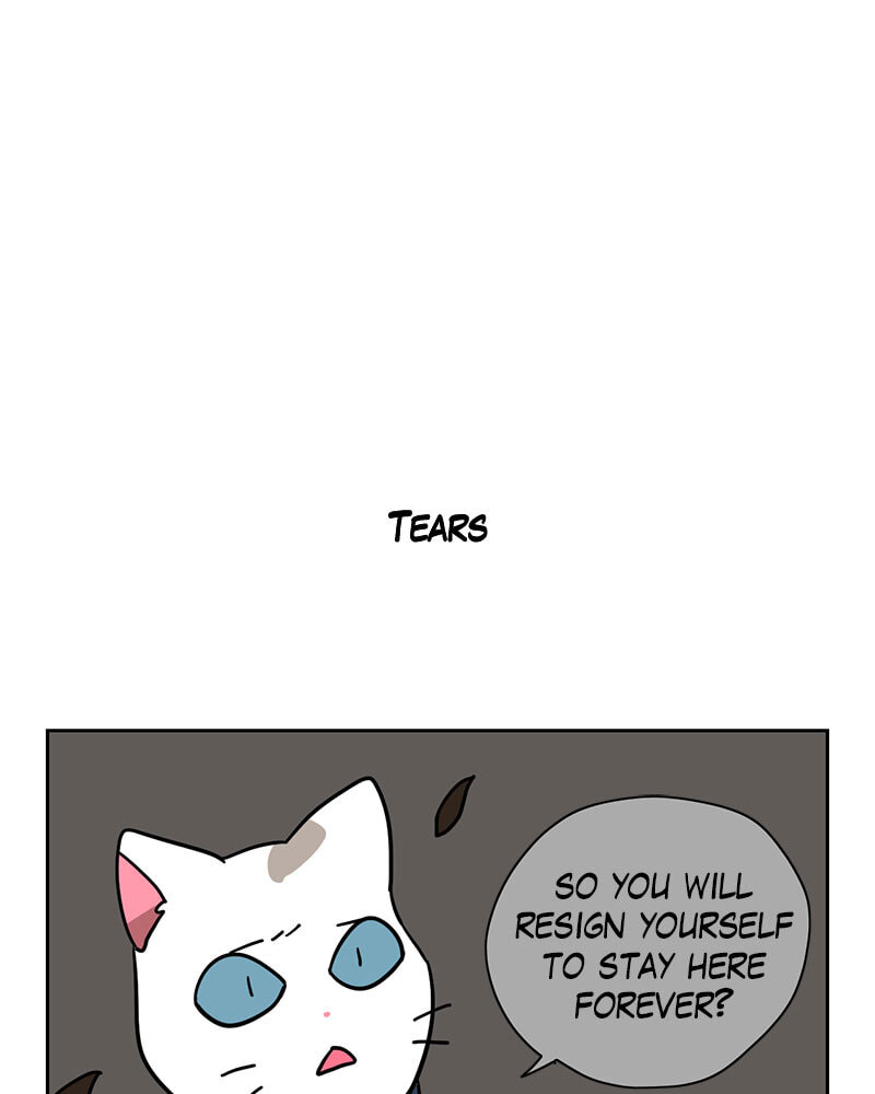 Read Meow Man chapter 139 image 13 on Lezhin