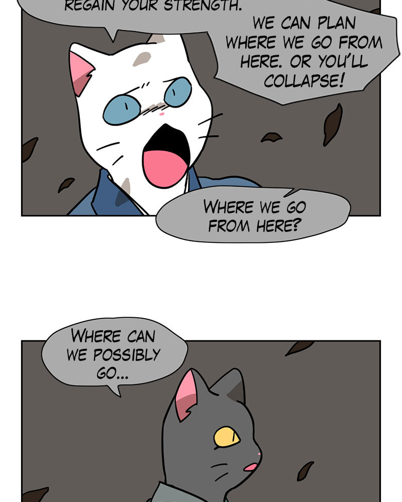 Read Meow Man chapter 139 image 7 on Lezhin