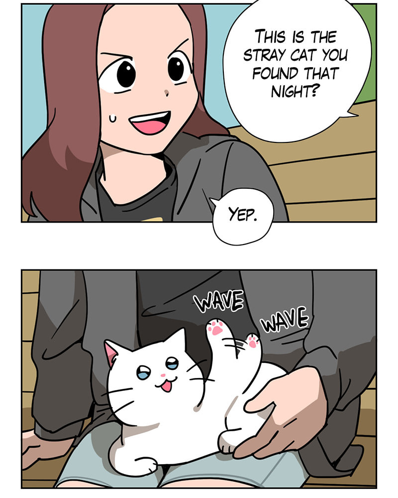 Read Meow Man chapter 14 image 16 on Lezhin