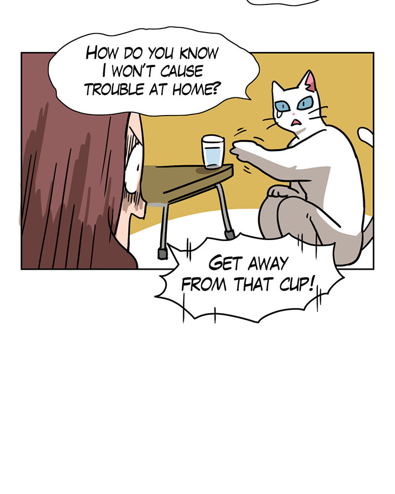 Read Meow Man chapter 14 image 7 on Lezhin