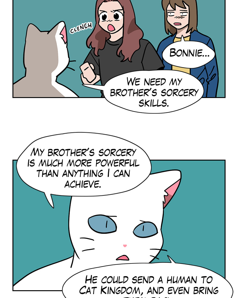 Read Meow Man chapter 142 image 3 on Lezhin