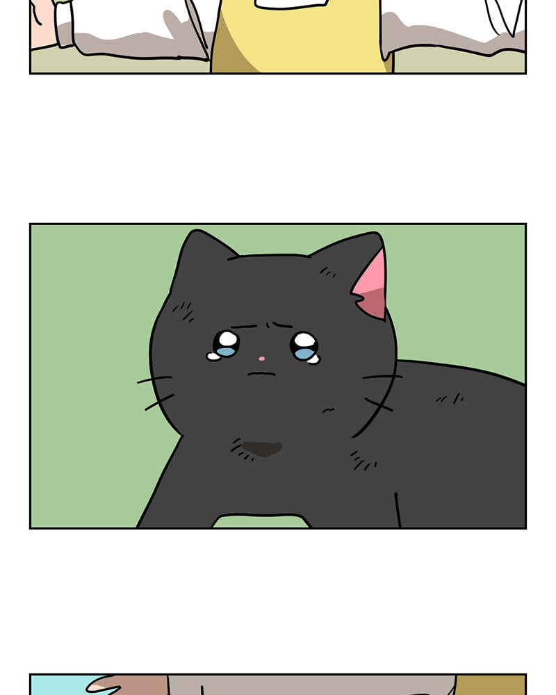 Read Meow Man chapter 144 image 36 on Lezhin