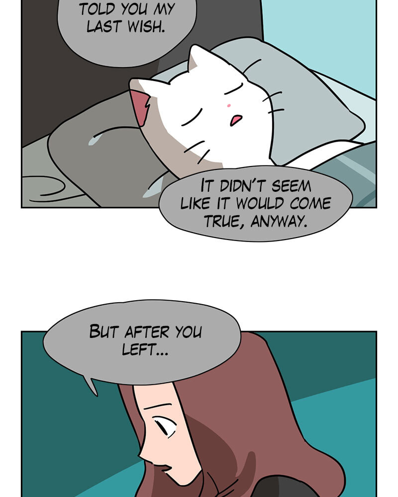 Read Meow Man chapter 144 image 7 on Lezhin