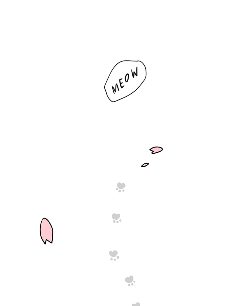 Read Meow Man chapter 146 image 56 on Lezhin