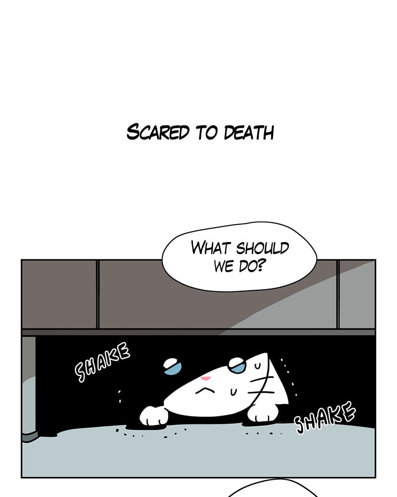 Read Meow Man chapter 15 image 15 on Lezhin