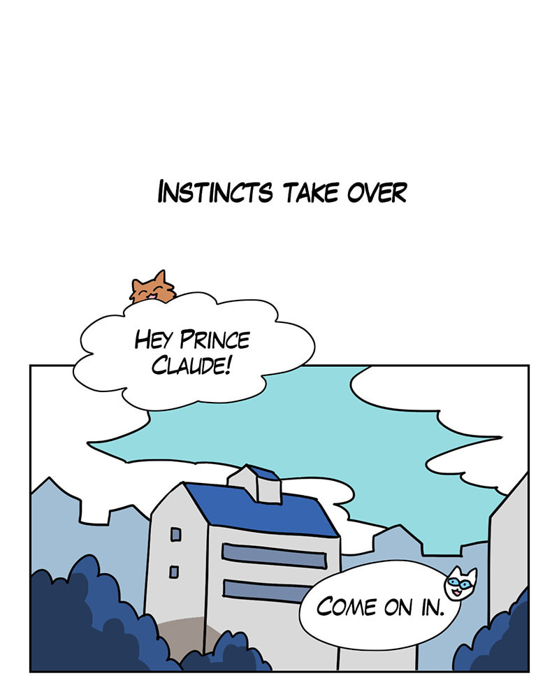 Read Meow Man chapter 16 image 5 on Lezhin