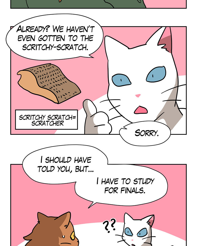 Read Meow Man chapter 16 image 9 on Lezhin
