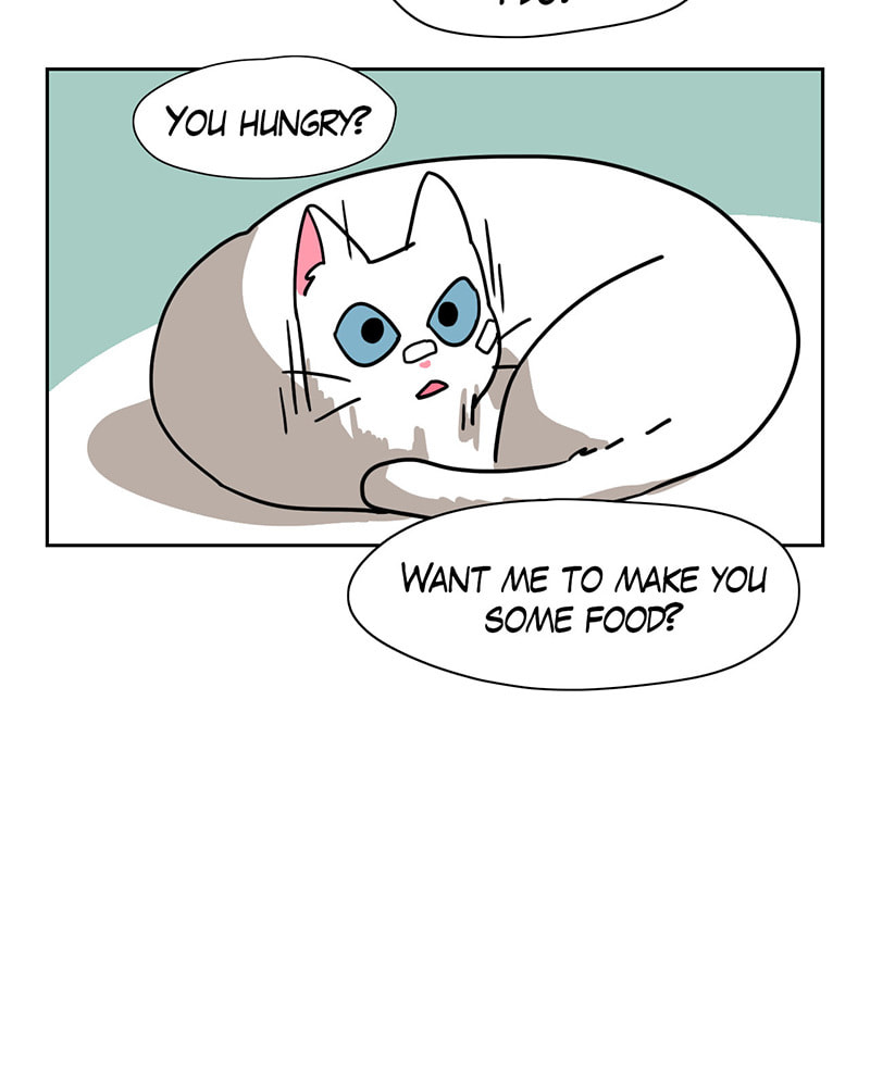 Read Meow Man chapter 19 image 7 on Lezhin