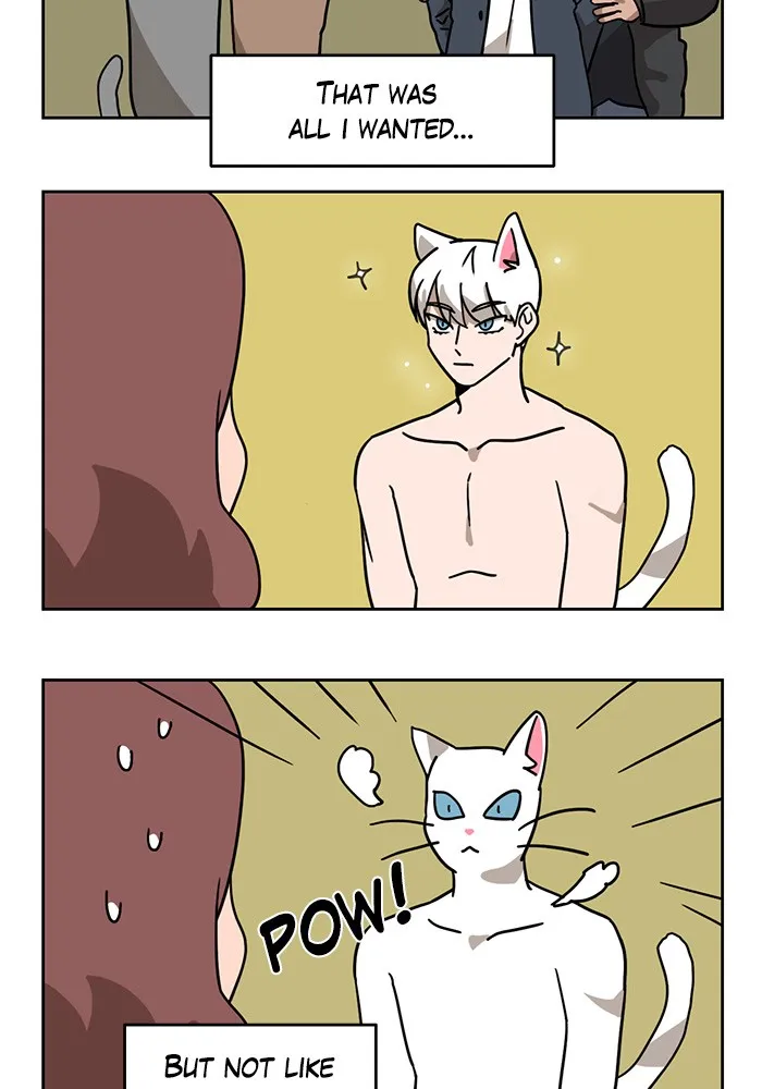 Read Meow Man chapter 2 image 2 on Lezhin