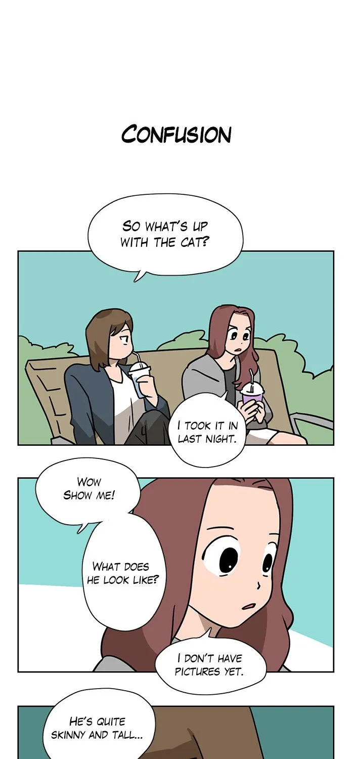Read Meow Man chapter 2 image 21 on Lezhin