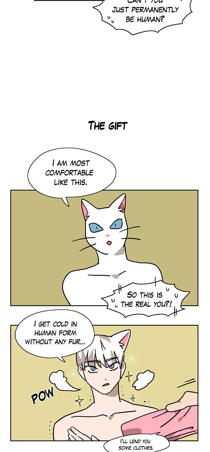 Read Meow Man chapter 2 image 4 on Lezhin