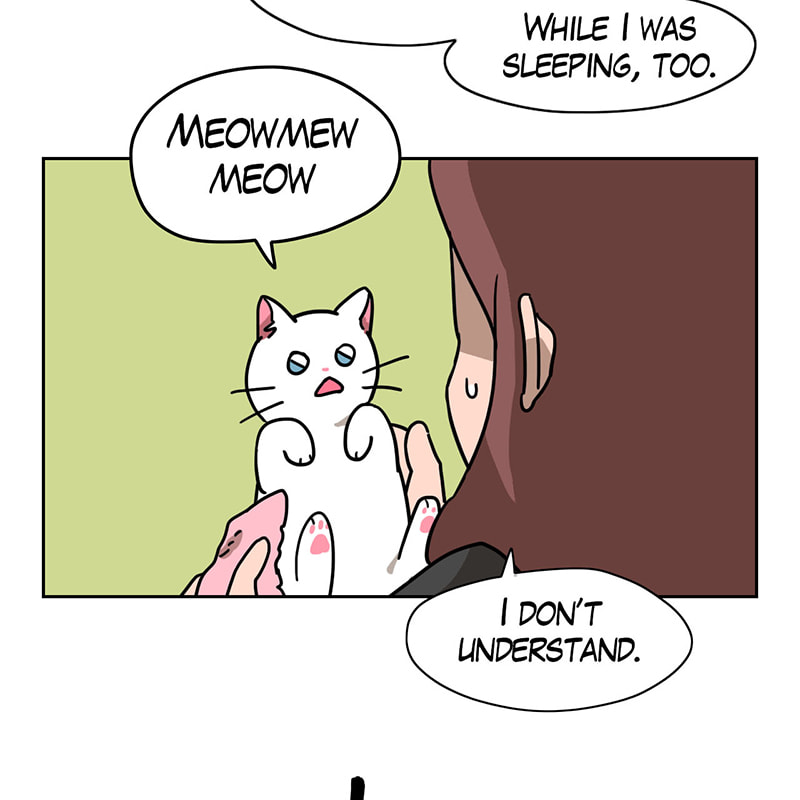 Read Meow Man chapter 25 image 40 on Lezhin
