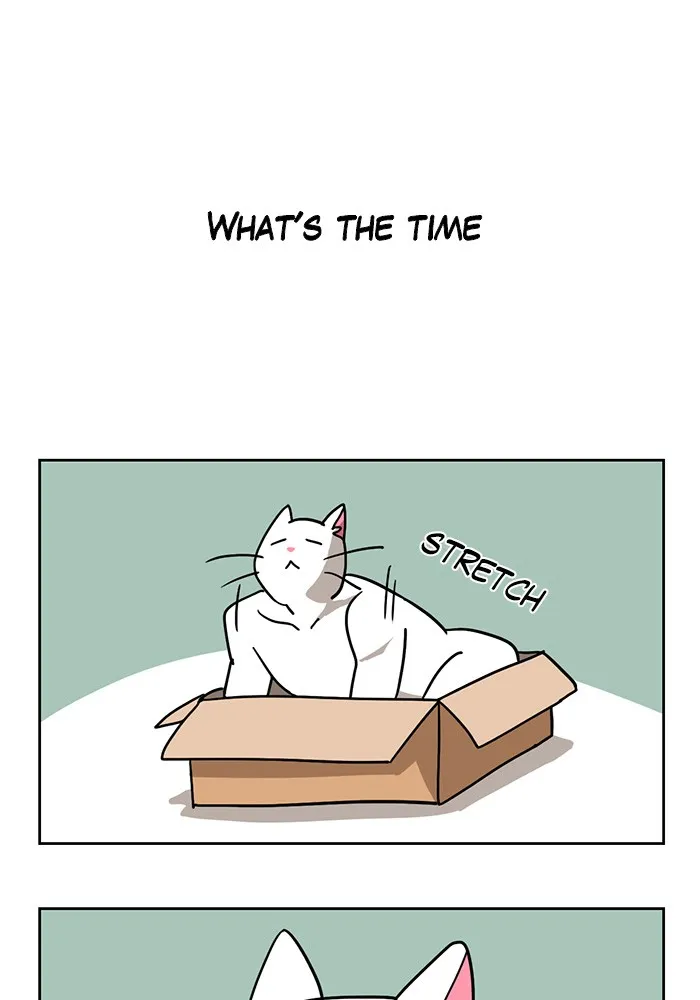 Read Meow Man chapter 3 image 0 on Lezhin
