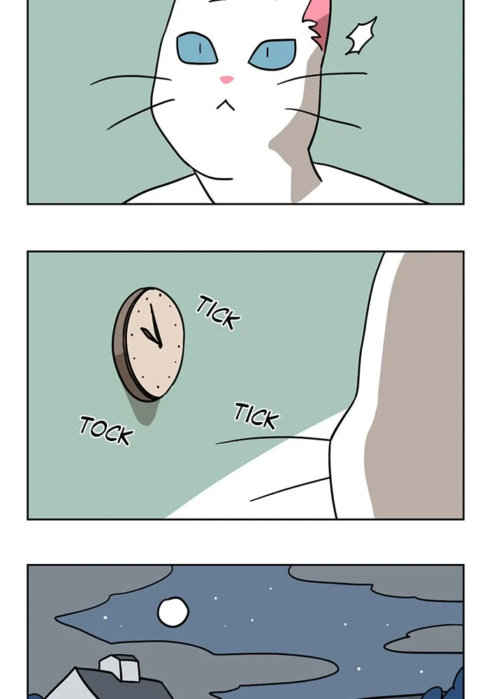 Read Meow Man chapter 3 image 1 on Lezhin