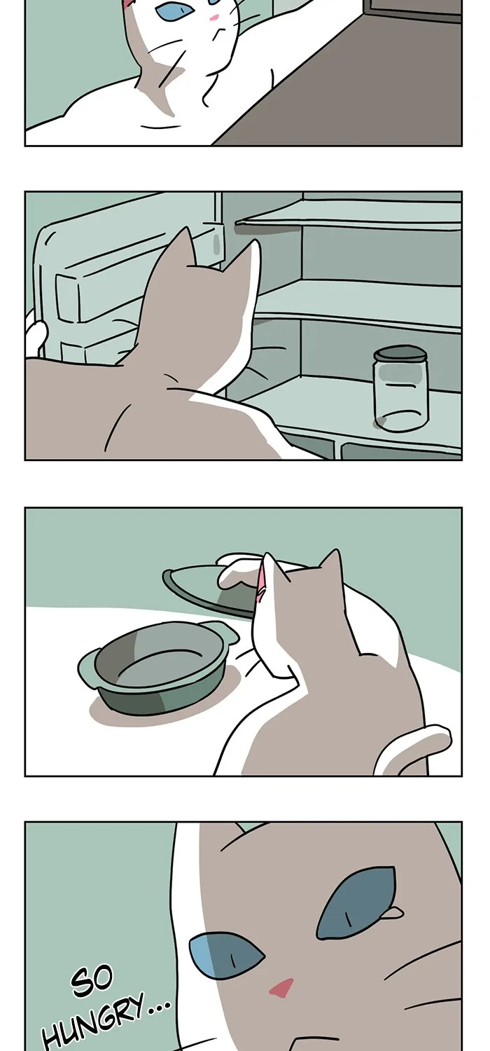 Read Meow Man chapter 3 image 11 on Lezhin