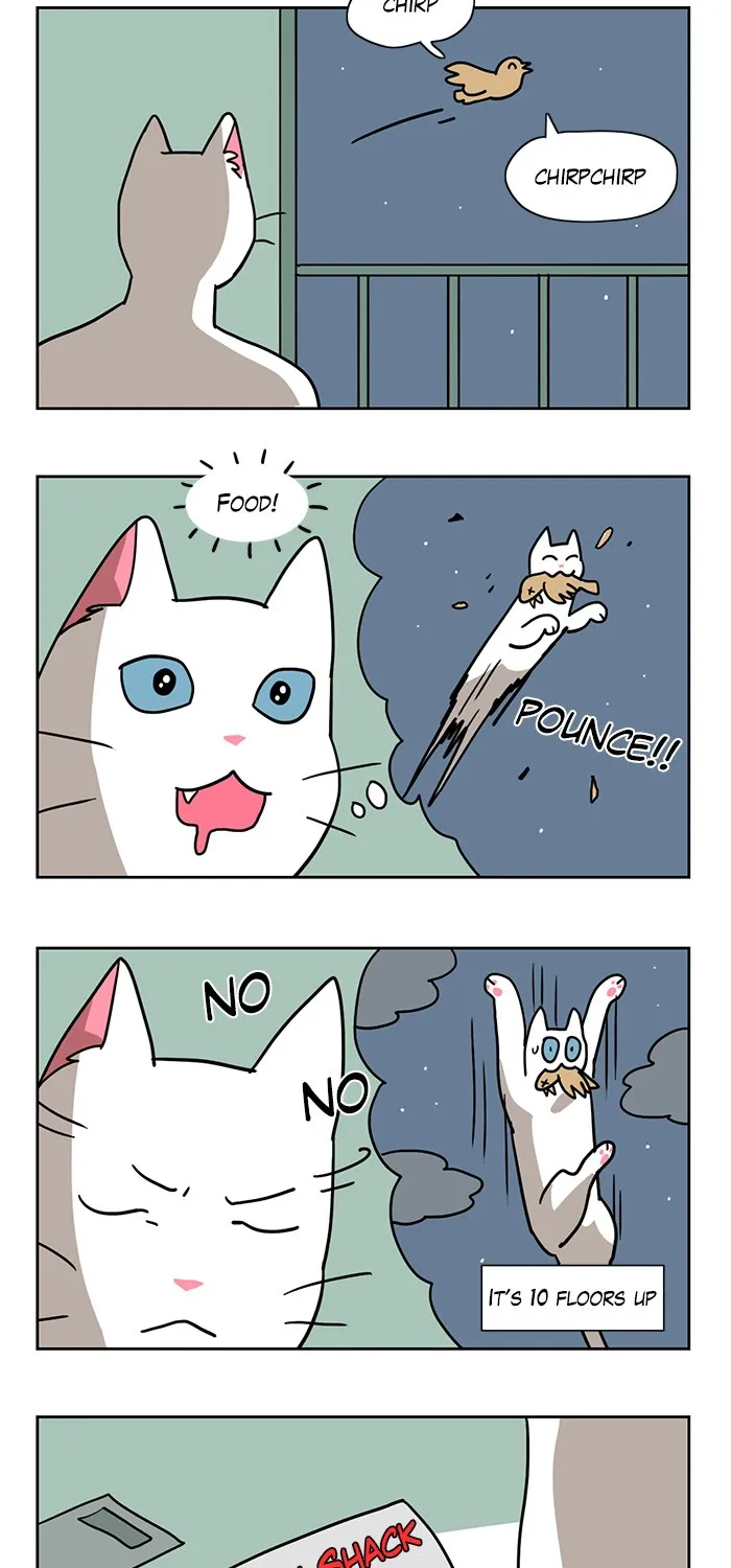 Read Meow Man chapter 3 image 13 on Lezhin