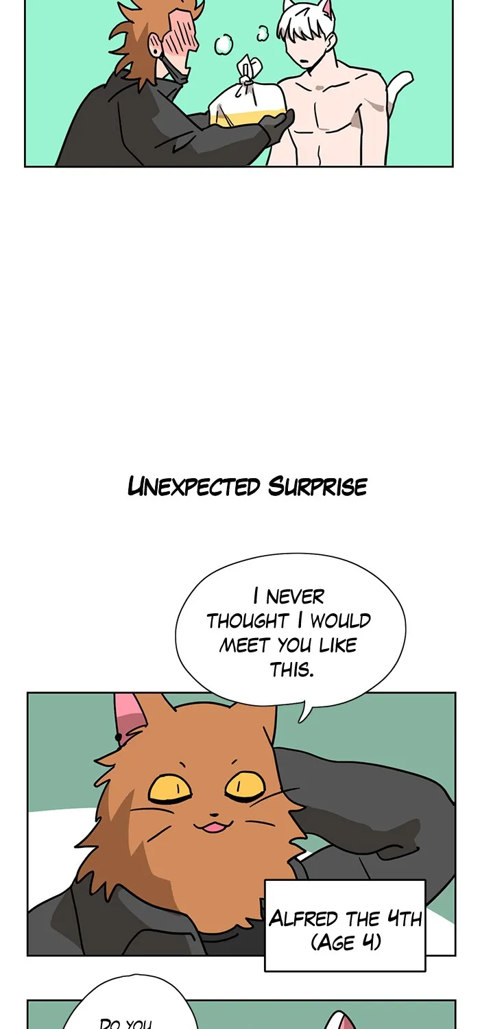 Read Meow Man chapter 3 image 22 on Lezhin