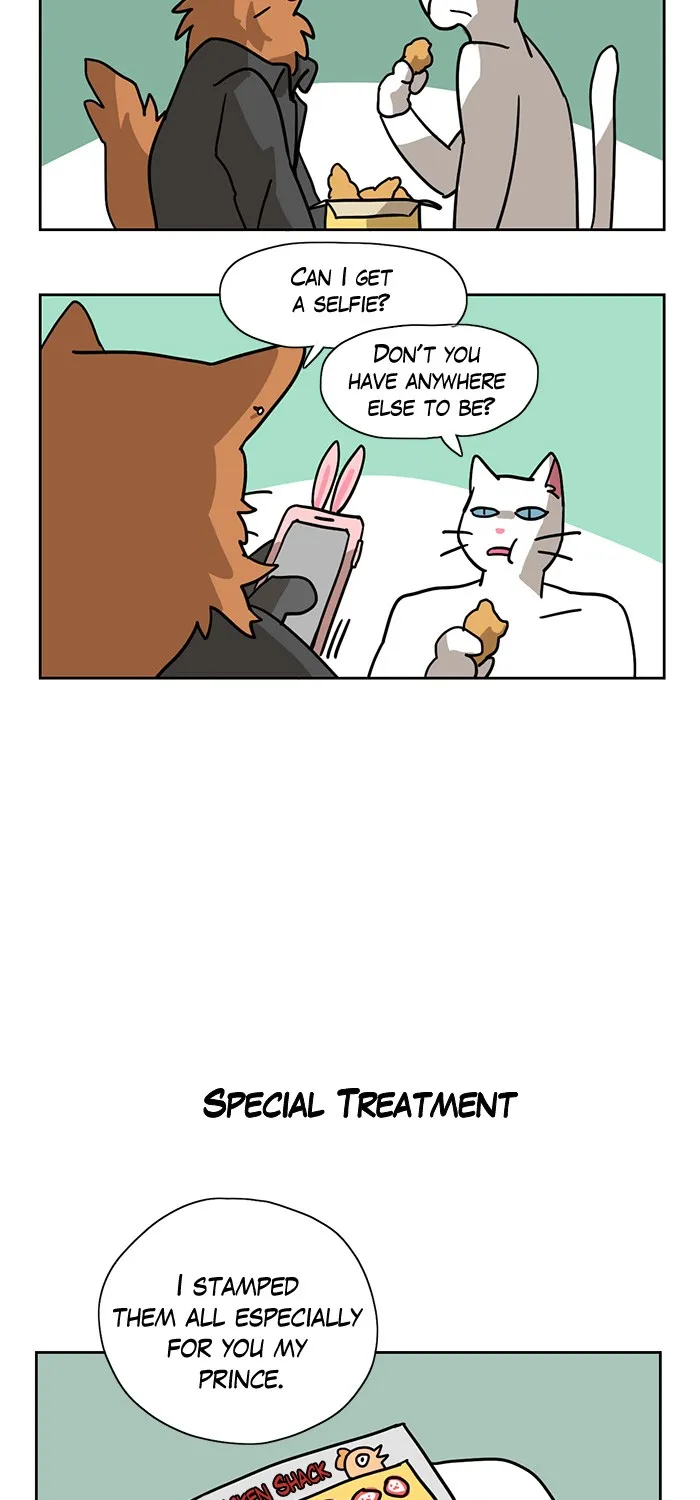 Read Meow Man chapter 3 image 24 on Lezhin