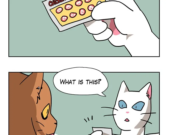 Read Meow Man chapter 3 image 25 on Lezhin
