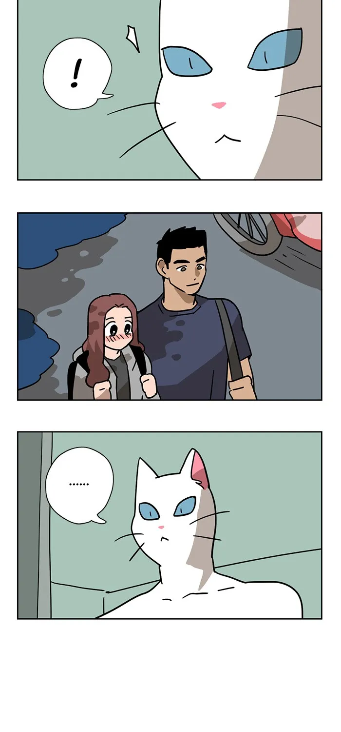 Read Meow Man chapter 3 image 28 on Lezhin