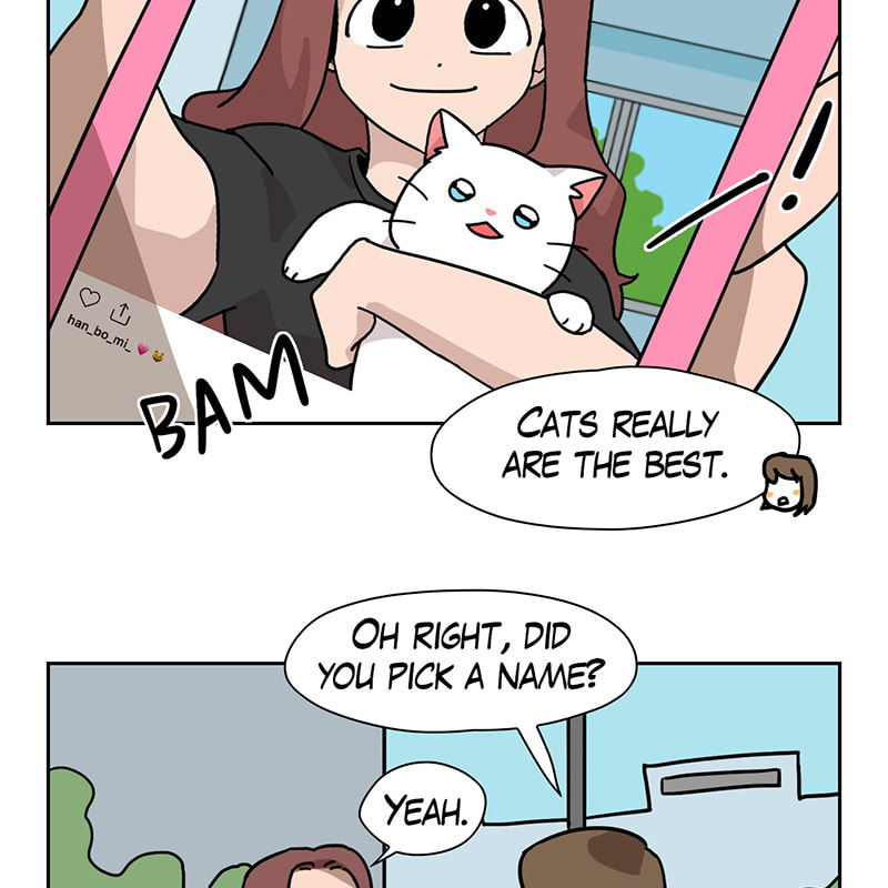 Read Meow Man chapter 32 image 43 on Lezhin