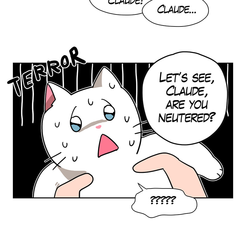 Read Meow Man chapter 34 image 25 on Lezhin