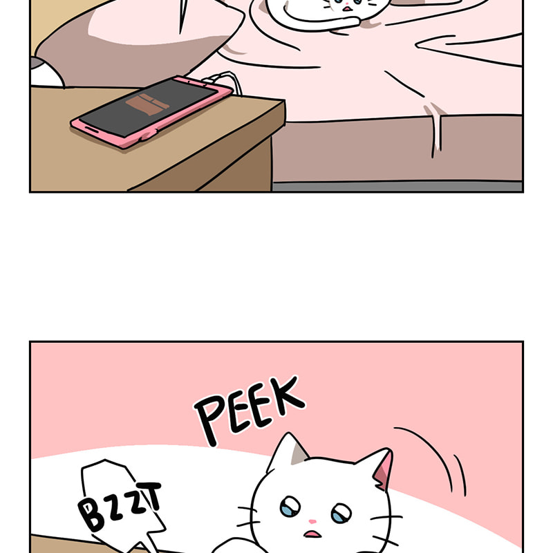 Read Meow Man chapter 34 image 43 on Lezhin