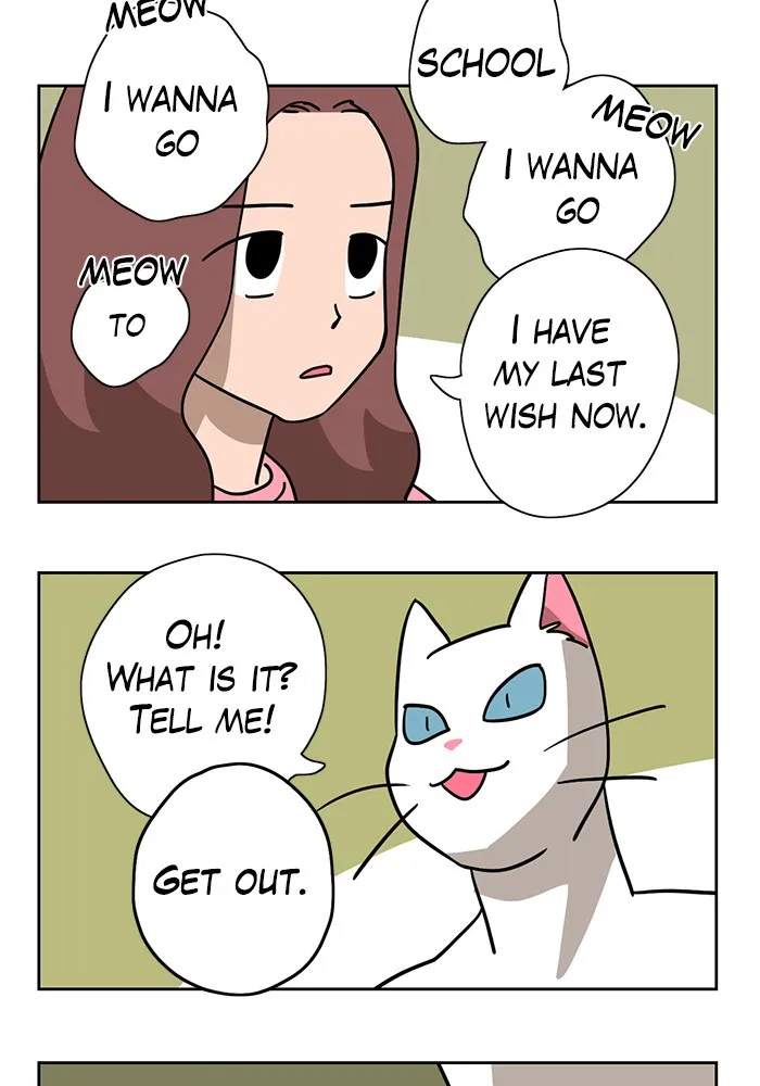 Read Meow Man chapter 4 image 10 on Lezhin