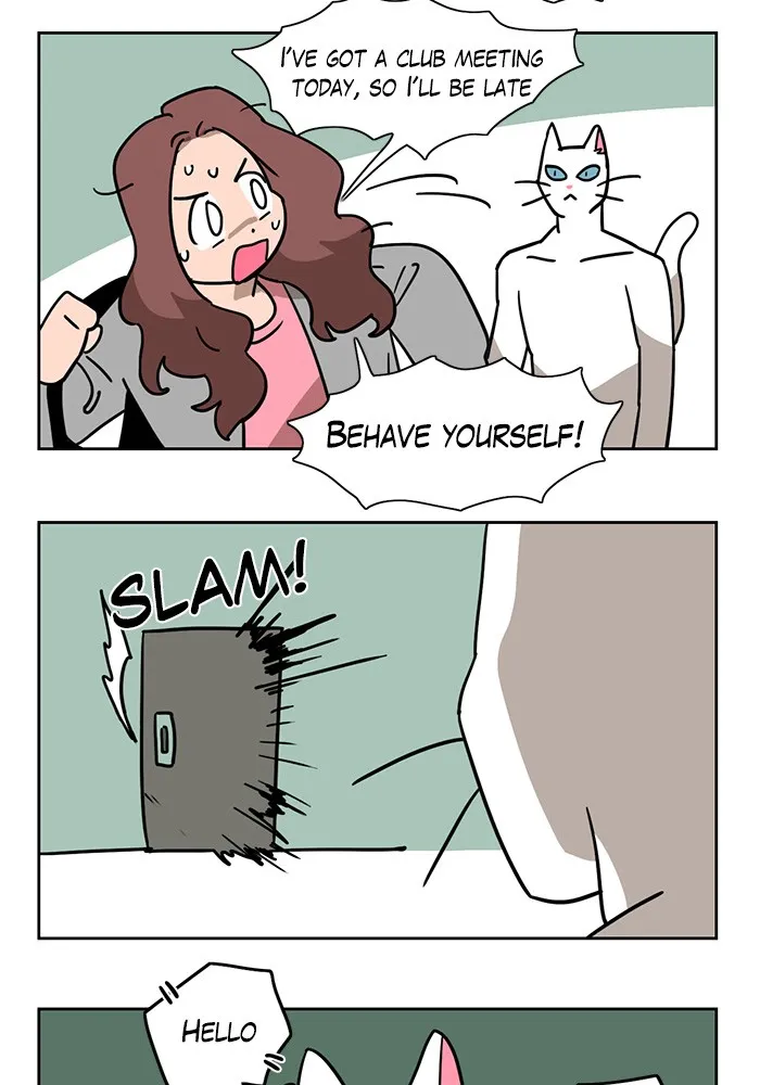 Read Meow Man chapter 4 image 15 on Lezhin