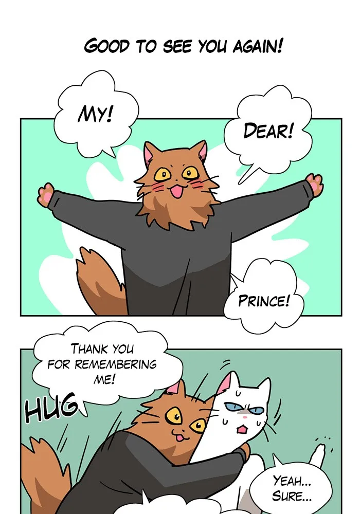 Read Meow Man chapter 4 image 17 on Lezhin