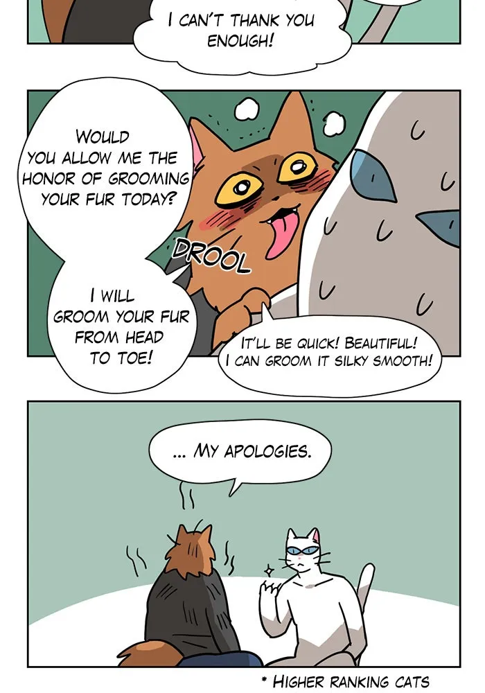 Read Meow Man chapter 4 image 18 on Lezhin