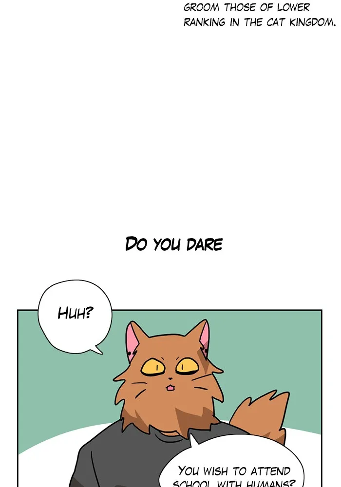 Read Meow Man chapter 4 image 19 on Lezhin