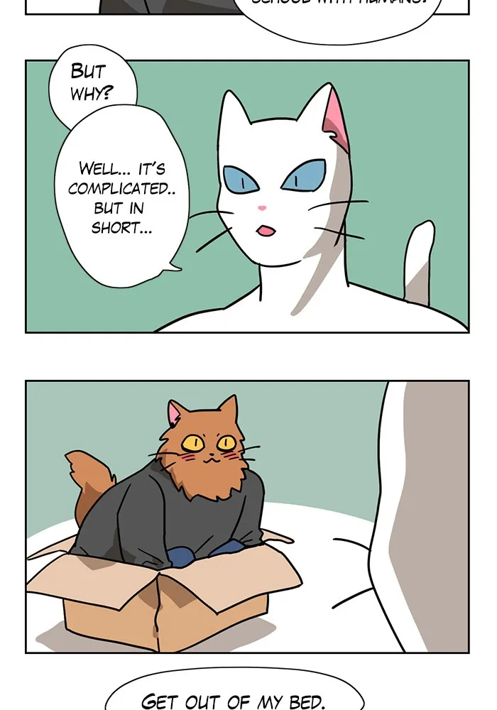 Read Meow Man chapter 4 image 20 on Lezhin