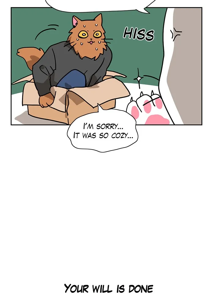 Read Meow Man chapter 4 image 21 on Lezhin